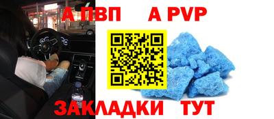 стаф Будённовск