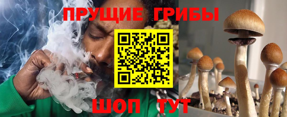 Псилоцибиновые грибы прущие грибы  Псилоцибиновые грибы Magic Shrooms  Вход с VPN  Хасавюрт 