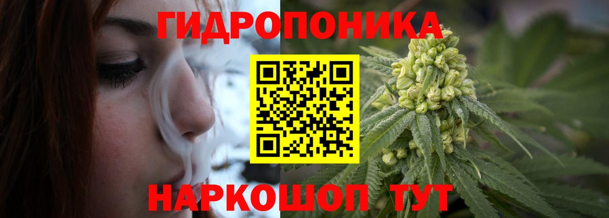 Бошки Шишки тримм  МАРИХУАНА сатива  Каннабис AK-47  Вход с VPN  Хасавюрт  Бошки Шишки планчик 